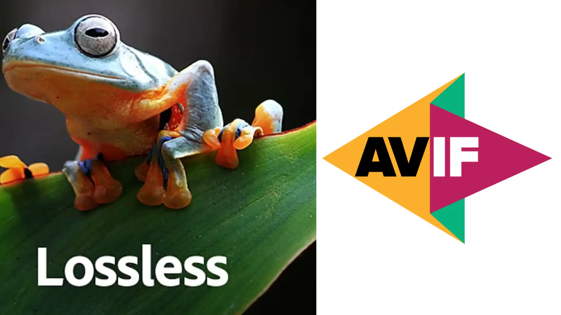 Exploring the Lossless Wonder of AVIF: A Game-Changer in Image Compression