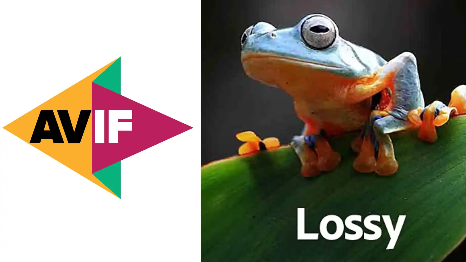 Unveiling the Lossy Aspects of AVIF: Balancing Compression and Image Quality